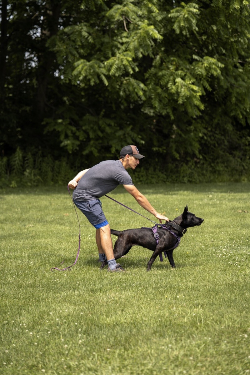 Jaime Calero training a dog at Compass K9 Academy